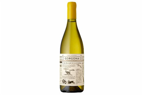 Der weisse Inselwein von Gorgona ist eine Assemblage aus den Sorten Vermentino und Ansonica.