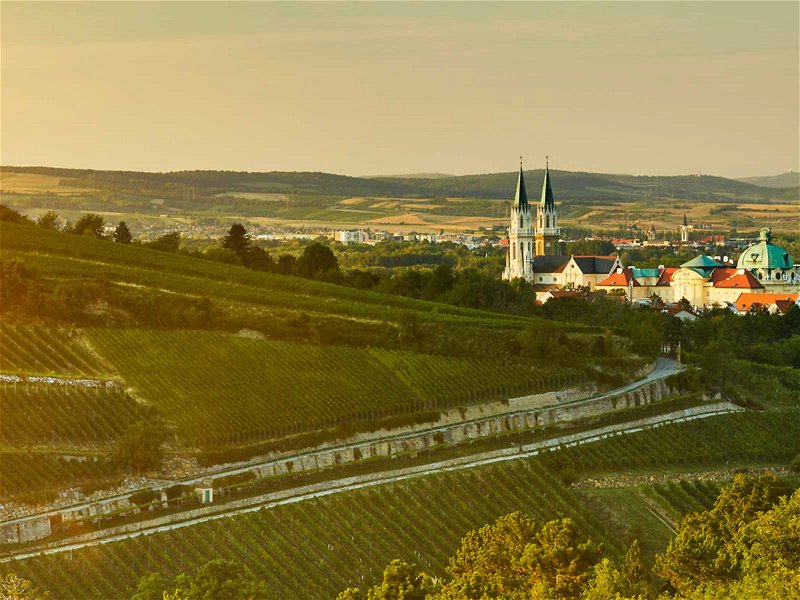 Blick aufs Stift Klosterneuburg, dem ältesten Weingut Österreichs.