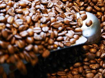 Von der Bohnen­auswahl bis hin zum Selberrösten: Mikroröstereien wie «ViCafe» verschreiben sich voll und ganz dem Ziel, den besten Kaffee herzustellen.