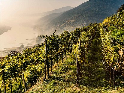 Traum-Ausblick: Die Spitzer Weinlandschaft ist ein beliebtes Ausflugsziel.