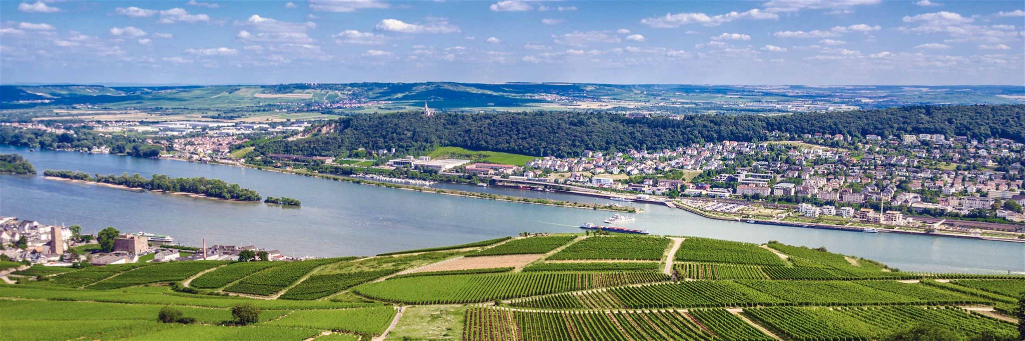 Im Rheingau (hier: Rüdesheim) genießen die am Fluss ­liegenden Weinberge Südlage.