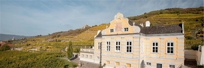 Die Domäne Wachau wurde unter den Top-Destinationen für Weinreisende gelistet. 