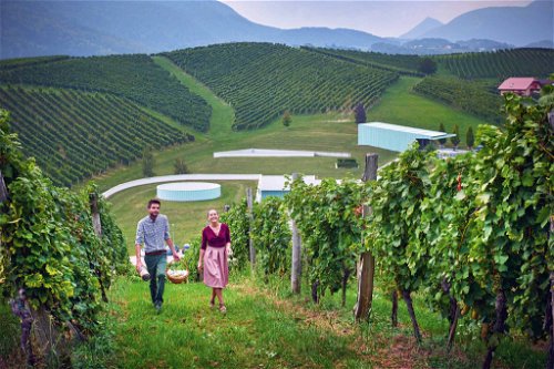 Das brandneue und ultramoderne Weingut Zlati grič verschwindet förmlich in der Reblandschaft. Das ist das Gesicht des neuen slowenischen Weinbooms.
