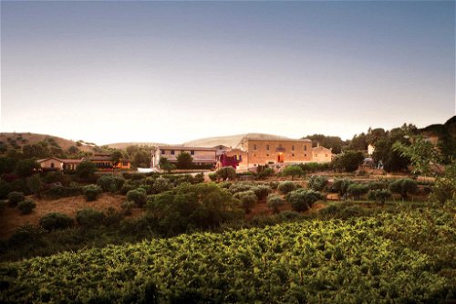 Nicht nur der Wein, die gesamte Arbeit basiert bei Tasca d'Almerita auf dem Prinzip der Nachhaltigkeit.
