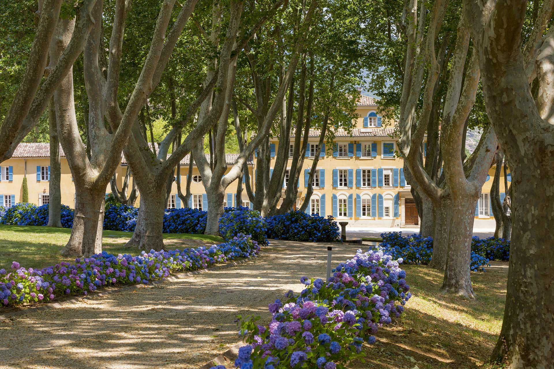 Château d’Esclans spielt auch im äusseren Erscheinungsbild mit den Blau- und Violetttönen der Provence und mit dem Orangerosa der Rosé-Weine.