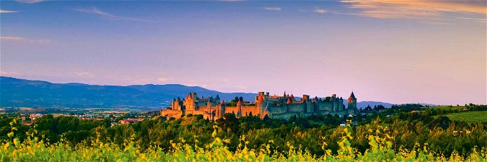 Weinbau vor historischer Kulisse: Die mittelalterliche Festung Carcassonne ist UNESCO-Weltkulturerbe.
