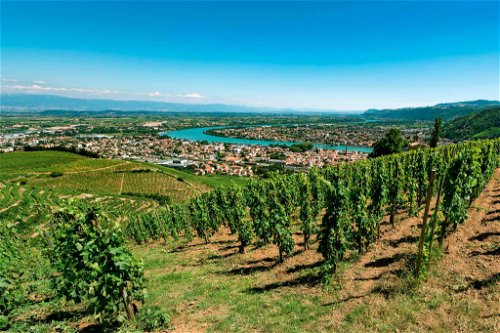 Zu Sand oder Grus verwitterter Granit, Einzelpfahlerziehung und ein Blick auf den Strom – das sind die Zutaten für die großen Weiss- und Rotweine der nördlichen Rhône.