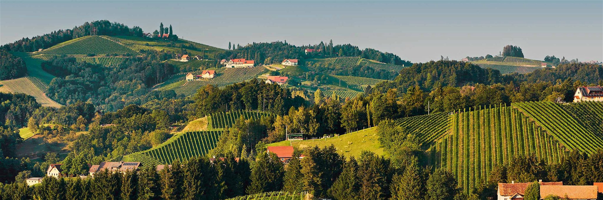 In der malerischen Südsteiermark freut man sich mit 2018 über einen weiteren tollen Jahrgang mit zahllosen Spitzenweinen.