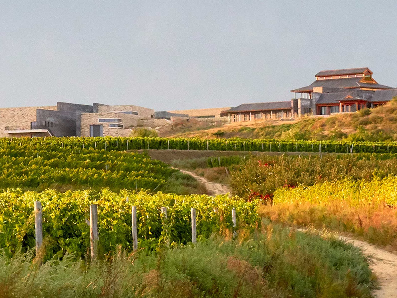 Das Weingut und die Villa der Domaines Barons de Rothschild in Shandong, China.