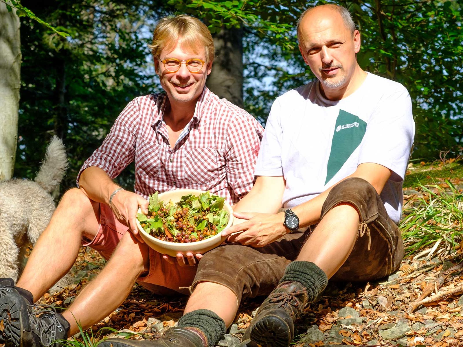 Axel Kiesbye und Forstwirt Joachim Graf bei der Ernte der Elsbeere im Forstrevier Breitenfurt in Wien.