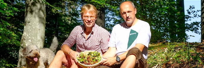Axel Kiesbye und Forstwirt Joachim Graf bei der Ernte der Elsbeere im Forstrevier Breitenfurt in Wien.