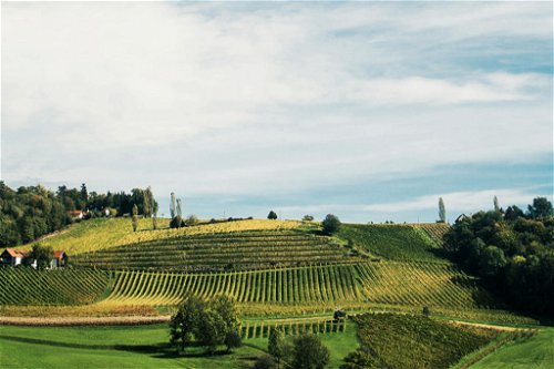 Weingut Gross, Steiermark