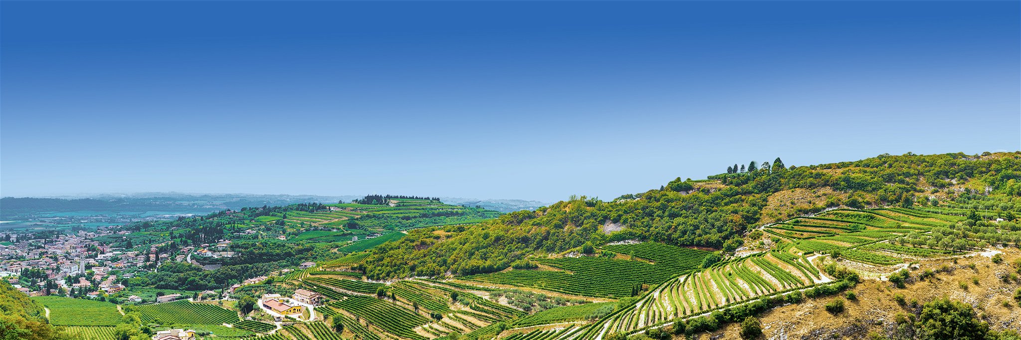 Auf den sanften Hügeln finden sich die besten Weinlagen.