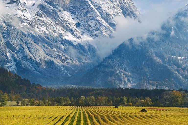 Hoch türmen sich die Berge über den Weingärten im Kanton Graubünden in der Ostschweiz.
