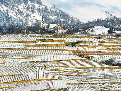 Im Schweizer Wallis sind die hohen Gipfel allgegenwärtig. Hier, in einmaliger Umgebung, gedeihen einige der interessantesten Weine der Eidgenossenschaft.