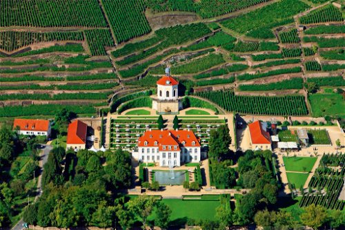 Eingefasst von Weinbergen thront eines von Deutschlands schönsten Weingütern: Schloss Wackerbarth in Radebeul.