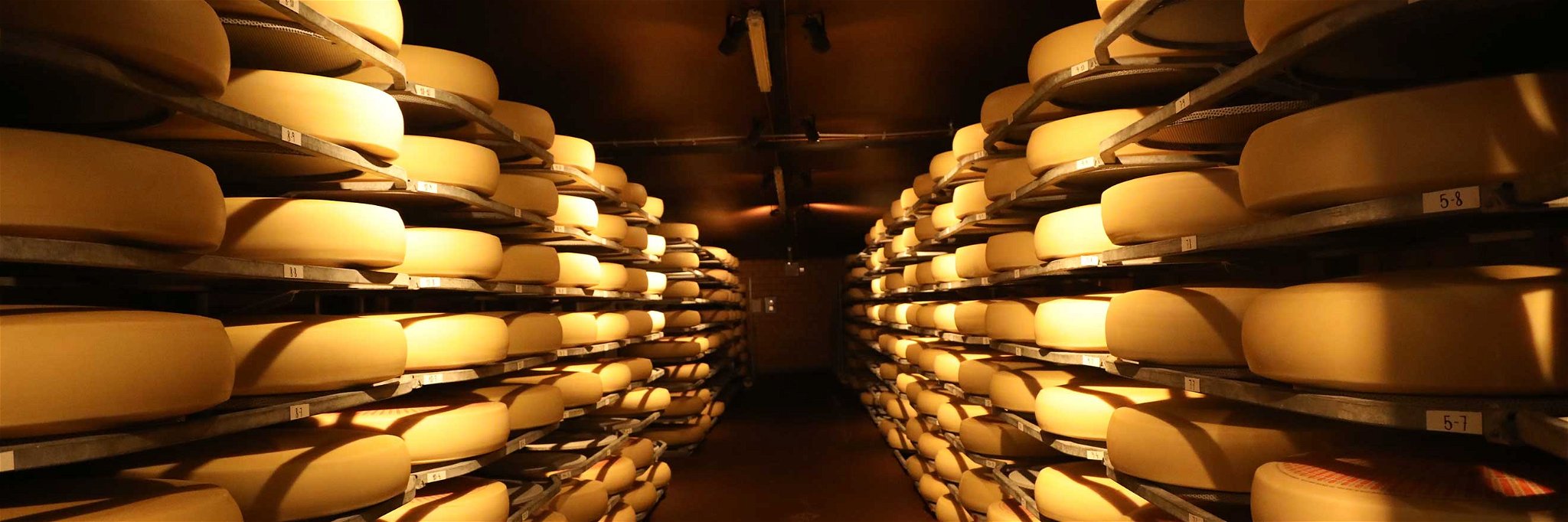 Käse-Reifelager in der Schaukäserei in Affoltern