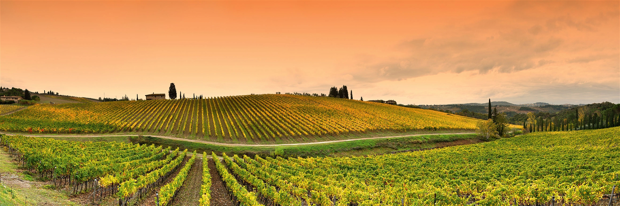 Die Hügel des Chianti sind Grundlage für wunderbare Weine.