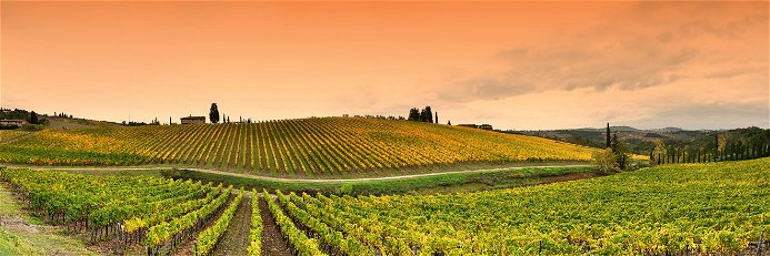 Die Hügel des Chianti sind Grundlage für wunderbare Weine.