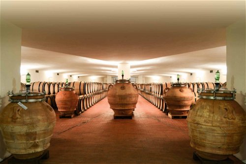 Im Keller von Fontodi stehen zunehmend Tonamphoren – aus der hauseigenen Töpferei. Giovanni Manetti hat Fontodi zu einem der Leitbetriebe im Chianti Classico gemacht.