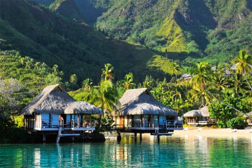 Moorea, in Sichtweite von Tahiti, betört mit ihrer Vielfalt an bunt blühenden Gewächsen und tropischen Früchten.