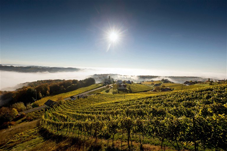 Die Weinlandschaft rund um Klöch ist die Heimat der bekanntesten Traminer Österreichs.