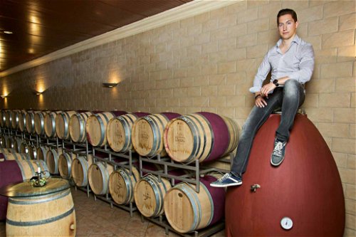 Roland Steindorfer repräsentiert bereits die vierte Winzergeneration am bekannten Weingut in Apetlon.