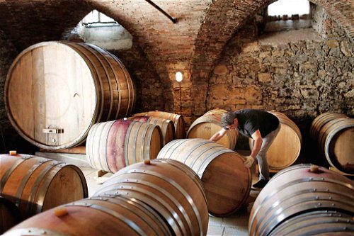 Immer öfter ist auch Rotwein in den Kellern des Friaul zu Hause.
