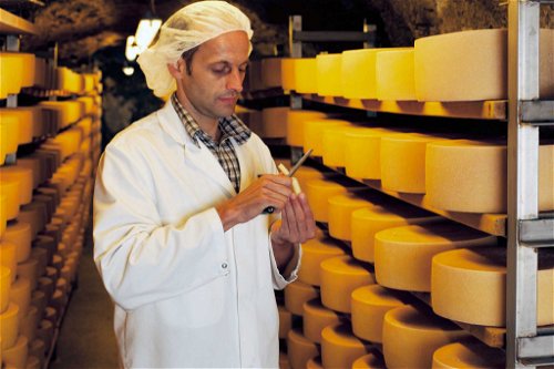Bei Käse heimische Konsumenten gerne zu Bio-Qualität.