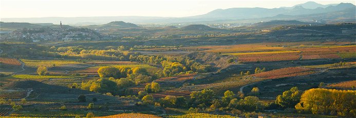 Die Rioja im Herbst.