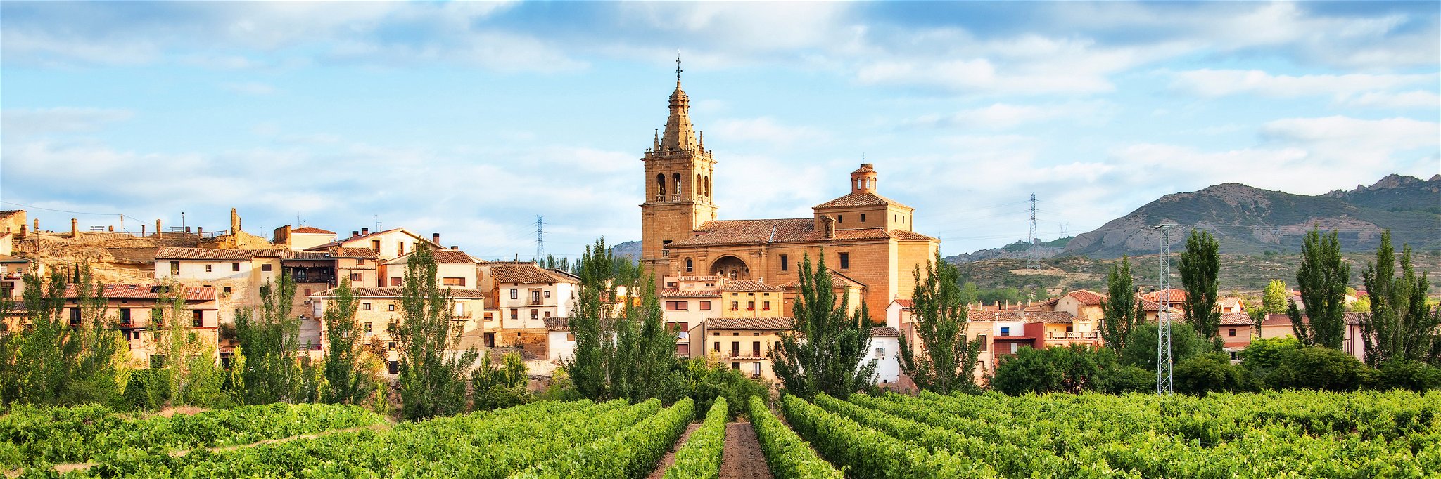 Spaniens Weinanbau ist im Umbruch: Das individuelle Terroir der jeweiligen Region rückt ins Zentrum – hier eine Lage bei Briñas in La Rioja.