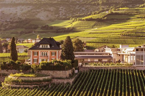 Das Weingut Domaines Chevaliers in Salgesch.