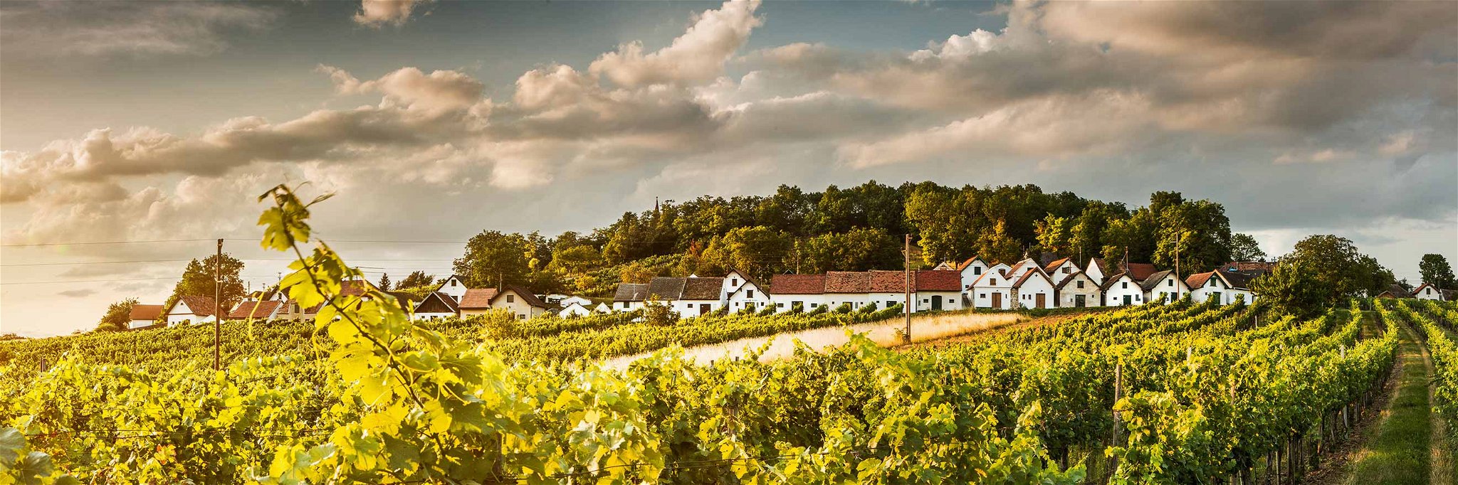 Ab dem späten 18. Jahrhundert wurden im Weinviertel von den Winzern Kellergassen errichtet, um die eigenen Trauben verarbeiten zu können.
