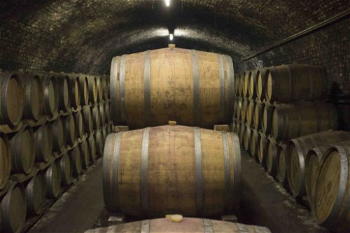 Im Keller lagern Weine aus Trauben höchster Qualität.