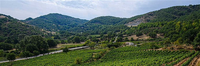 Rund um die kleine sardische Ortschaft Mamoiada herrschen ideale Bedingungen für den Weinbau