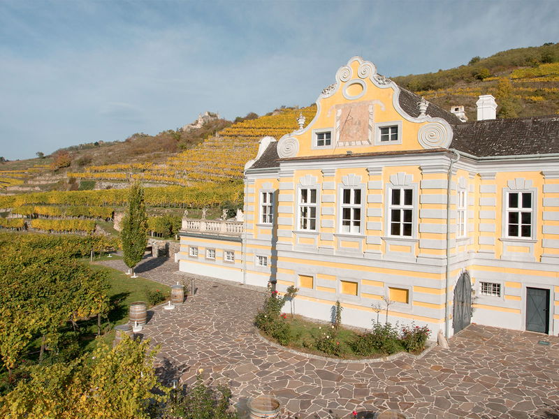 Worlds Best Vineyards Domäne Wachau Auf Platz 3 Falstaff