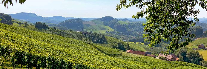Mit Reben bestockte Hügel, dazwischen Buschenschänken: das ist das Weinland Steiermark