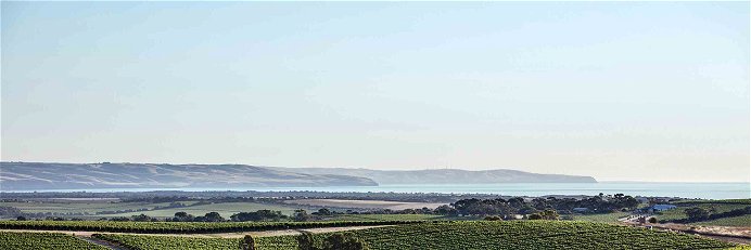 Weingärten in McLaren Vale, mit Meer im Hintergrund.