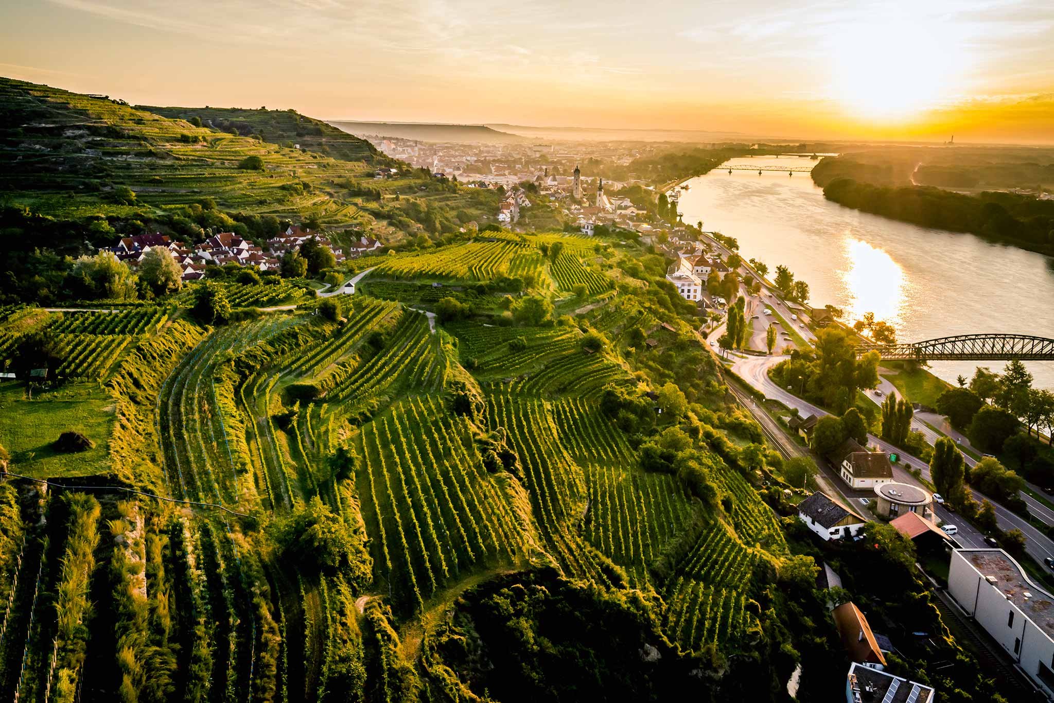 Blick über die Ried Altenberg auf die Doppelstädte Krems und Stein an der Donau.