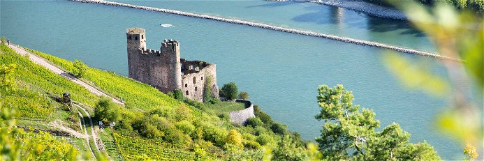 Die Burg Ehrenfels wurde zu Beginn des 13.&nbsp;Jahrhunderts erbaut. Heute gehört sie zum UNESCO-Weltkulturerbe Mittelrheintal.