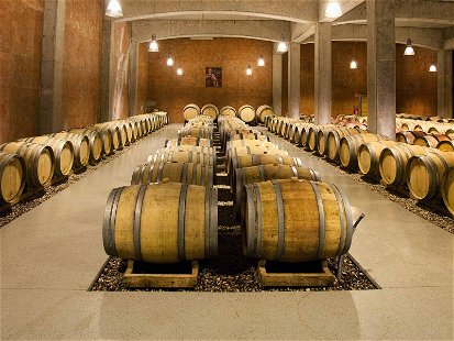 Unberührte Schönheit: Die coronabedingten Einschränkungen machten Besuche in den heimischen Weingütern für die Falstaff-Tester heuer unmöglich.