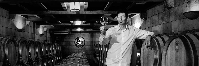 »Den Leithaberg mit seinem tollen Kalkterroir hat der liebe Gott wohl speziell für den Chardonnay geschaffen.« Andi Kollwentz, »Mr. Chardonnay«, Großhöflein.