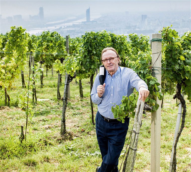 Hans Schmid ist Eigentümer der edelsten Wiener Weinlagen und führt sie in neue, ungeahnte Höhen.