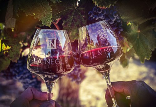 Die Weine von Château La Négly bieten in allen Preiskategorien Überdurchschnittliches.