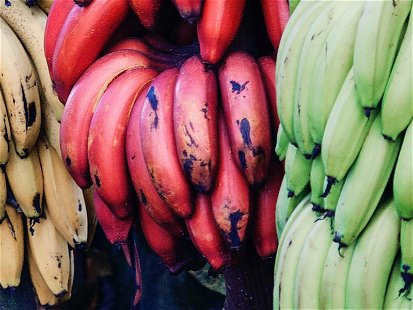 Geschmort, gebraten, gebacken: Durch ihr Aroma ist die rote Banane für viele Gerichte eine Bereicherung.