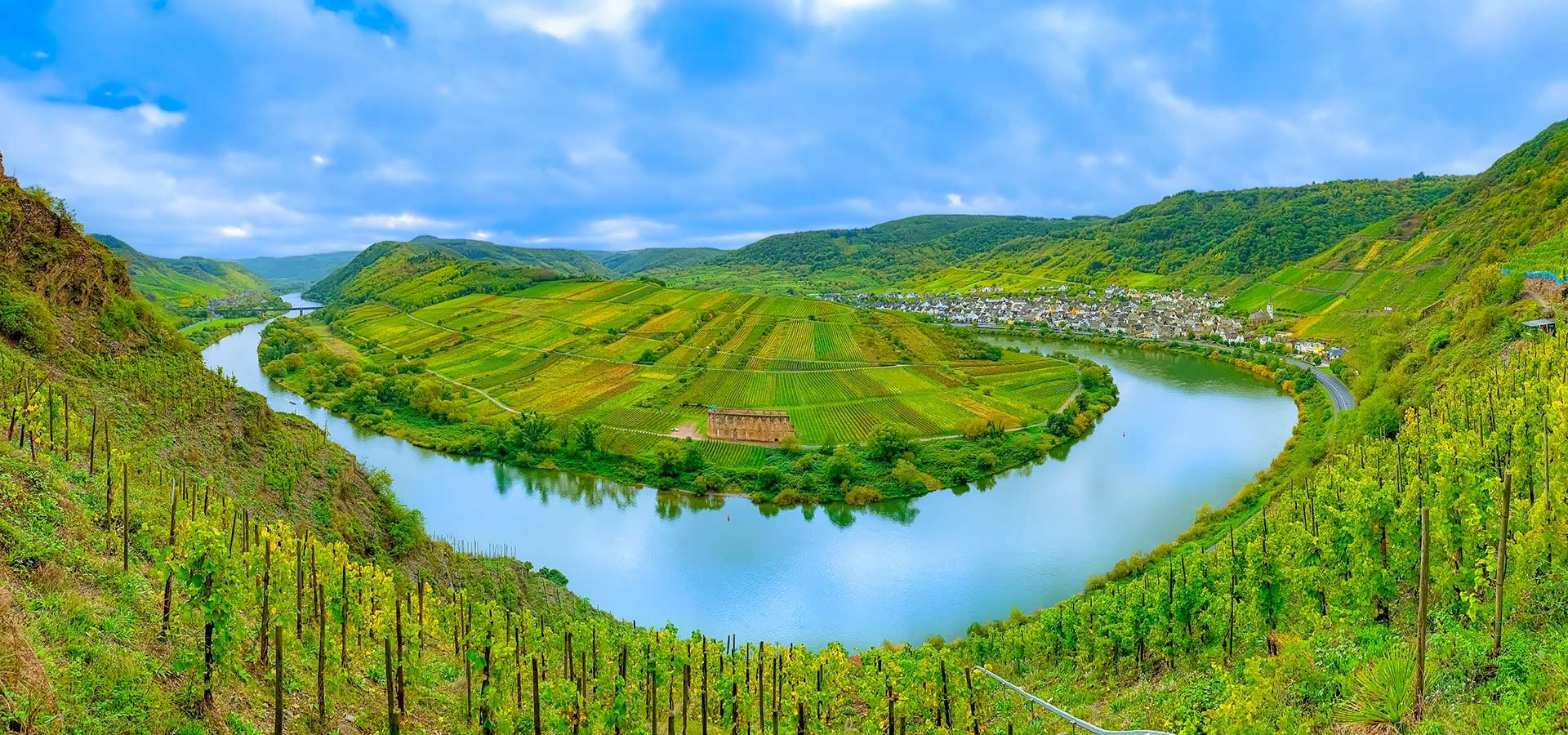 Das Weinbaugebiet Mosel ist weltberühmt für seine Rieslinge.