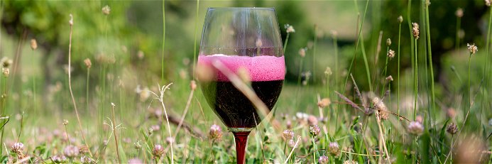 Der Lambrusco-Wein wird in verschiedenen Städten der Emilia-Romagna produziert.&nbsp;Dort wächst die Rebe an sonnigen Hängen in&nbsp;mediterranem&nbsp;Klima.