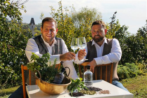 Für ihren «Steinhorn Gin» sammeln die Gebrüder Steiner die Botanicals in der Wagram- Region und im eigenen Garten.
