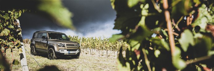 Der neue Land Rover Defender hat Martin Korrell bei der diesjährigen Weinlese tatkräftig unterstützt.