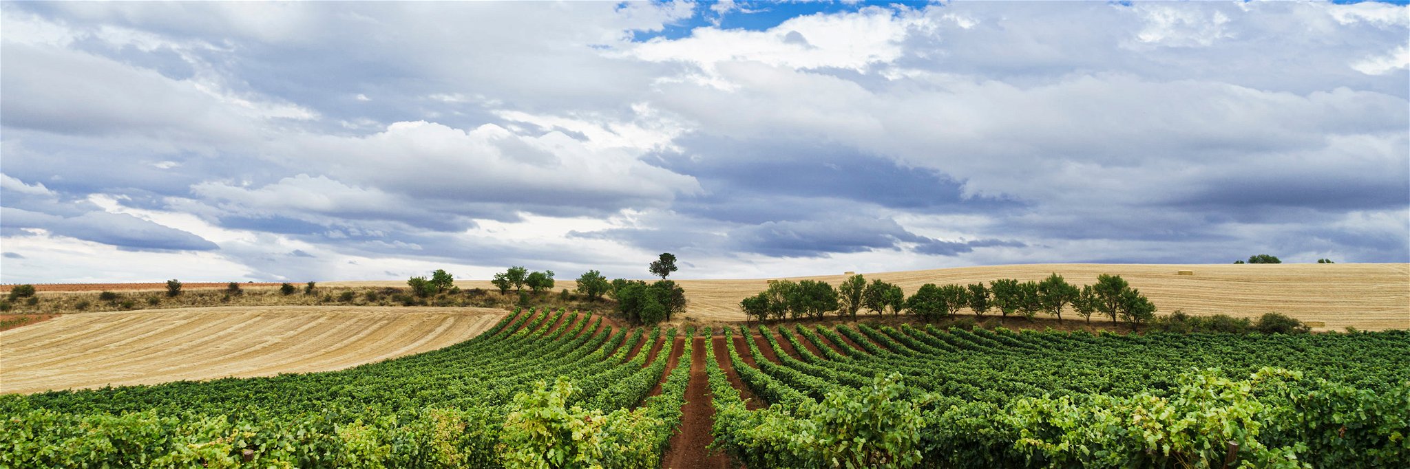 Ribera del Duero liegt in der grossen Weinbauregion Kastilien-Leon im Norden Spaniens.